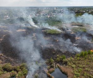 Wołomin: Płonie Natura 2000. Dym widać z wielu kilometrów