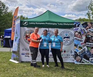 Festiwal Przyjaciół Zwierząt w Olsztynie. Park Centralny opanowały radosne pieski