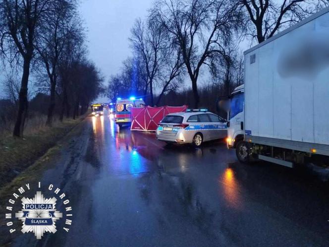 Potrącenie pieszego w Woli Kiedrzyńskiej. Zginął na miejscu