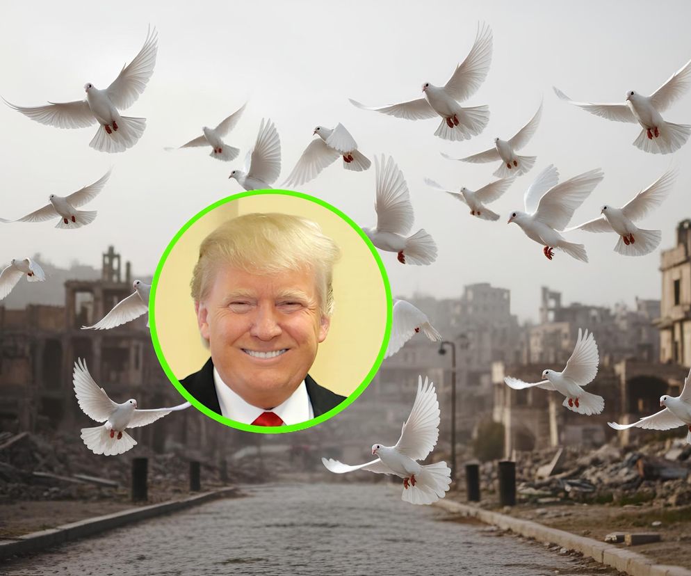 pokój, Gaza, Donald Trump