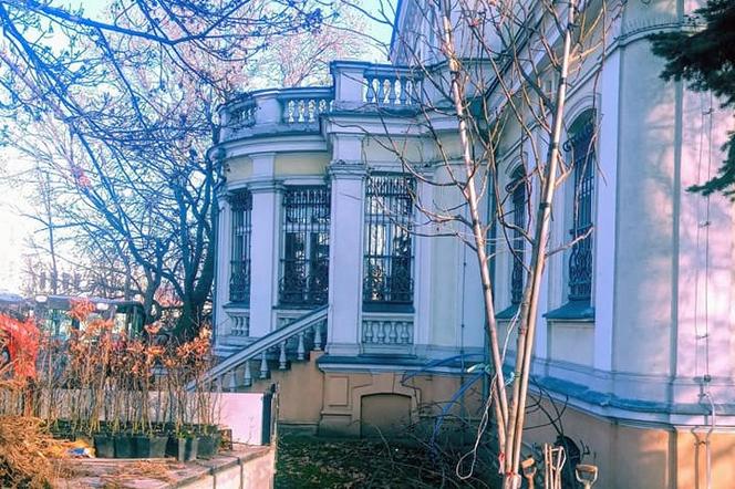 Przy Bibliotece Głównej w Kaliszu powstaje ogród