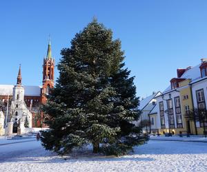 Choinka stanęła w centrum Białegostoku. 12-metrowa atrakcja gotowa na Boże Narodzenie