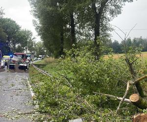 Drzewo spadło na busa służby drogowej. 56-latek nie żyje, cztery osoby ranne