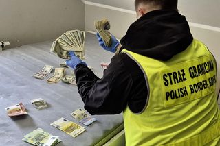 Gang Ukraińców rozbity! Fikcyjne firmy i setki nielegalnych imigrantów w Polsce