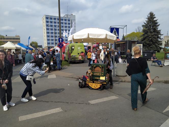 13. Jarmark św. Stanisława w Siedlcach - fotorelacja