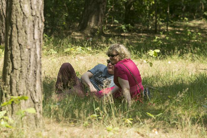 Gorąca miłość ministra