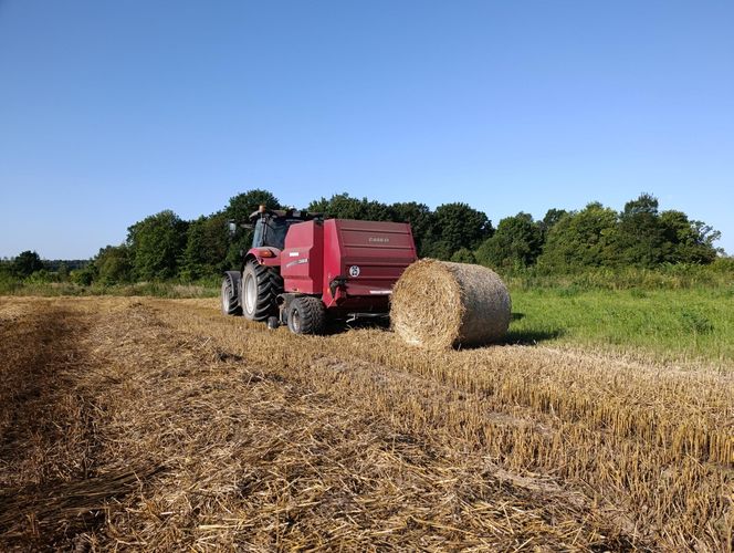 Tragiczne żniwa na Mazowszu. Rolnik wciągnięty przez maszynę.