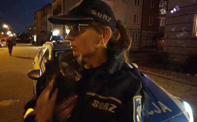 Wyrzuciła kota do kontenera na śmieci 
