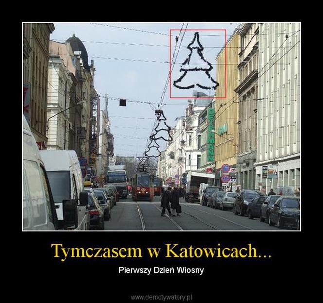 Memy na pierwszy dzień wiosny