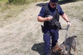 Lubelskie: To już drugi tydzień poszukiwań. Po 20-letnim studencie nie ma śladu 