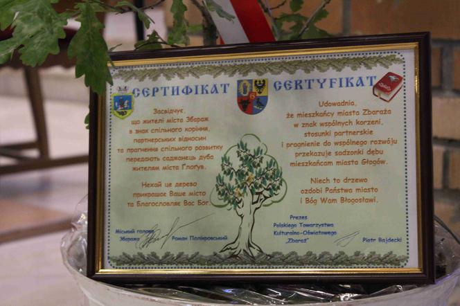Dziś przy pomniku Jana z Głogowa zostanie zasadzony dąb przywieziony z Ukrainy