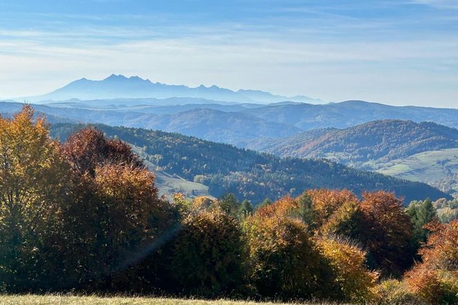 Małopolskie pasmo górskie zachwyca jesiennym pięknem. Ukryta perełka z widokiem na tatry 