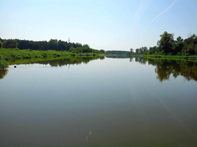 Warto zwiedzić nadbużańskie tereny Mazowsza