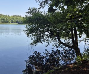 To jedno z największych jezior w Olsztynie. Kusi turystów piaszczystymi plażami