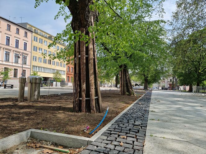 Tak teraz wygląda plac Wolności w Bydgoszczy. Powrót kwiaciarek ponownie opóźniony