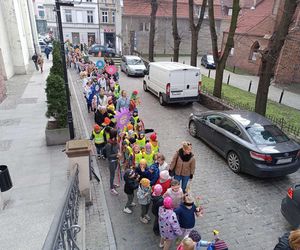 Przemarsz przedszkolaków z marzannami ulicami Grudziądza