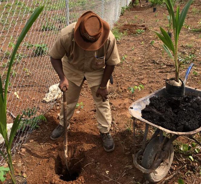 JOHN GODSON ranczo Nigeria