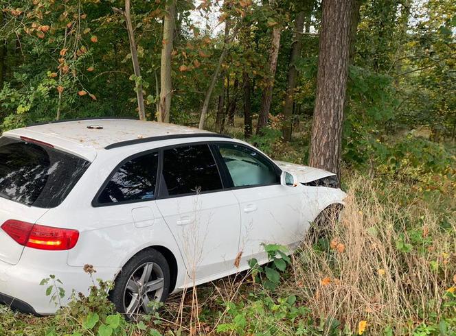 Audi A4 Avant rozbite na drzewie