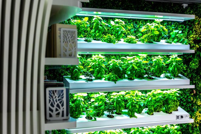 Metroteka – biblioteka na stacji metra M2 Kondratowicza w Warszawie