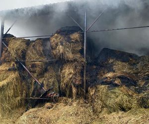 Duży pożar na terenie gospodarstwa w Zaborówcu koło Leszna