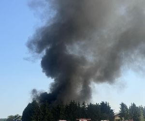 Pożar pod Ciechocinkiem