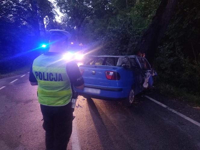 Tragiczny wypadek na trasie Olsztyn-Nikielkowo. Kierowca zmarł na miejscu [FOTO]