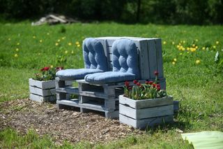 Tulipanowa polanka w małopolskiej Polance Wielkiej