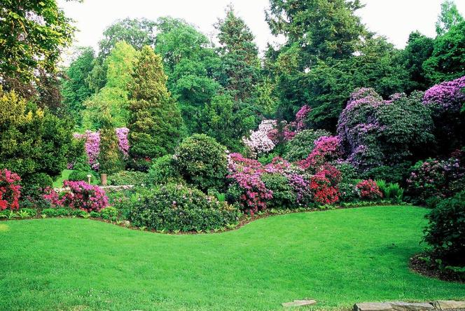 To raj dla miłośników przyrody! Kiedy otwarcie Arboretum pod Wrocławiem?