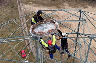 Wysoki słup energetyczny w Nadleśnictwie Kliniska ma nowe przeznaczenie