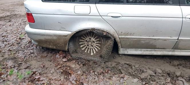 BMW porzucone w lesie