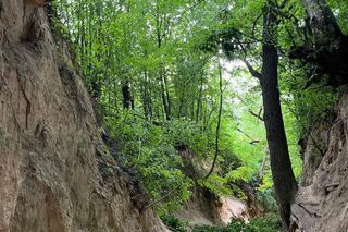 Wypadek w wąwozie Korzeniowy Dół