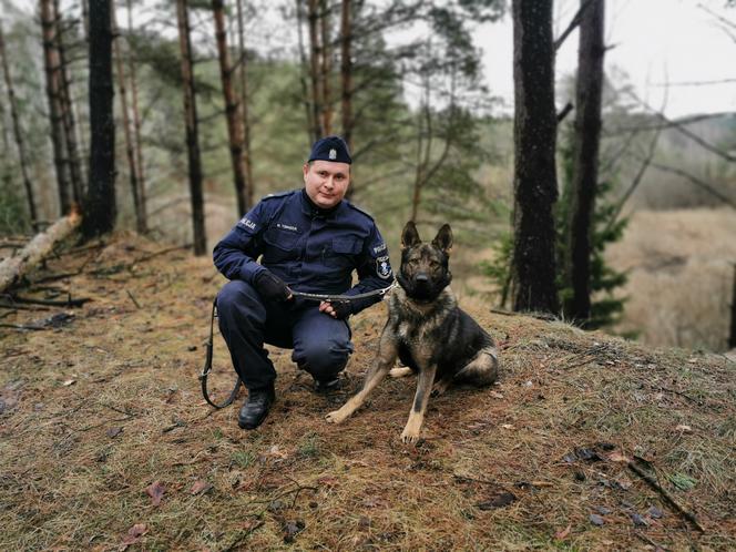 Kafar - nowy pies policyjny w Białymstoku
