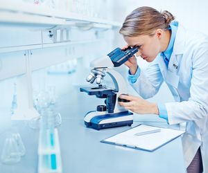 Parazytologia - czym się zajmuje parazytolog?