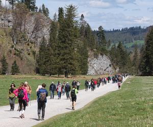 W Tatrach tłumy już nawet przed majówką! Przed Doliną Kościeliską ustawiła się długa kolejka ludzi [GALERIA]