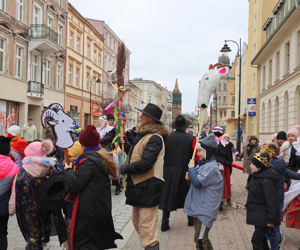 Podkoziołek na Deptaku w Gnieźnie