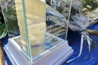 Grób Szczepana. Wjechał w rodzinę BMW [GALERIA]