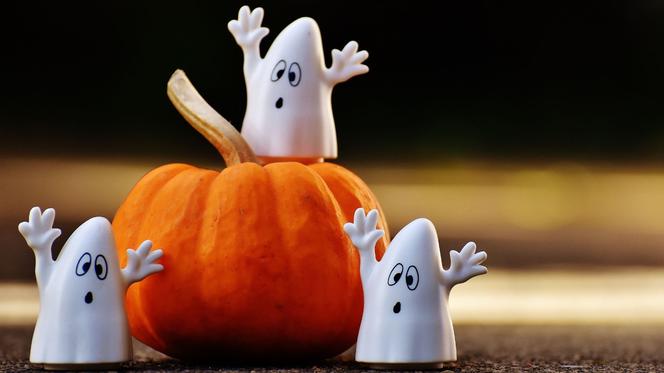 Halloween 2021: co robić z dziećmi, przyjaciółmi, rodziną?