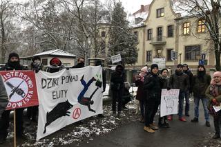 STOP rzezi dzików! - wrocławianie protestowali przeciwko rządowemu odstrzałowi [WIDEO, ZDJĘCIA, AUDIO]