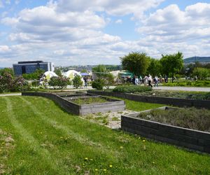 Ogród Botaniczny w Kielcach