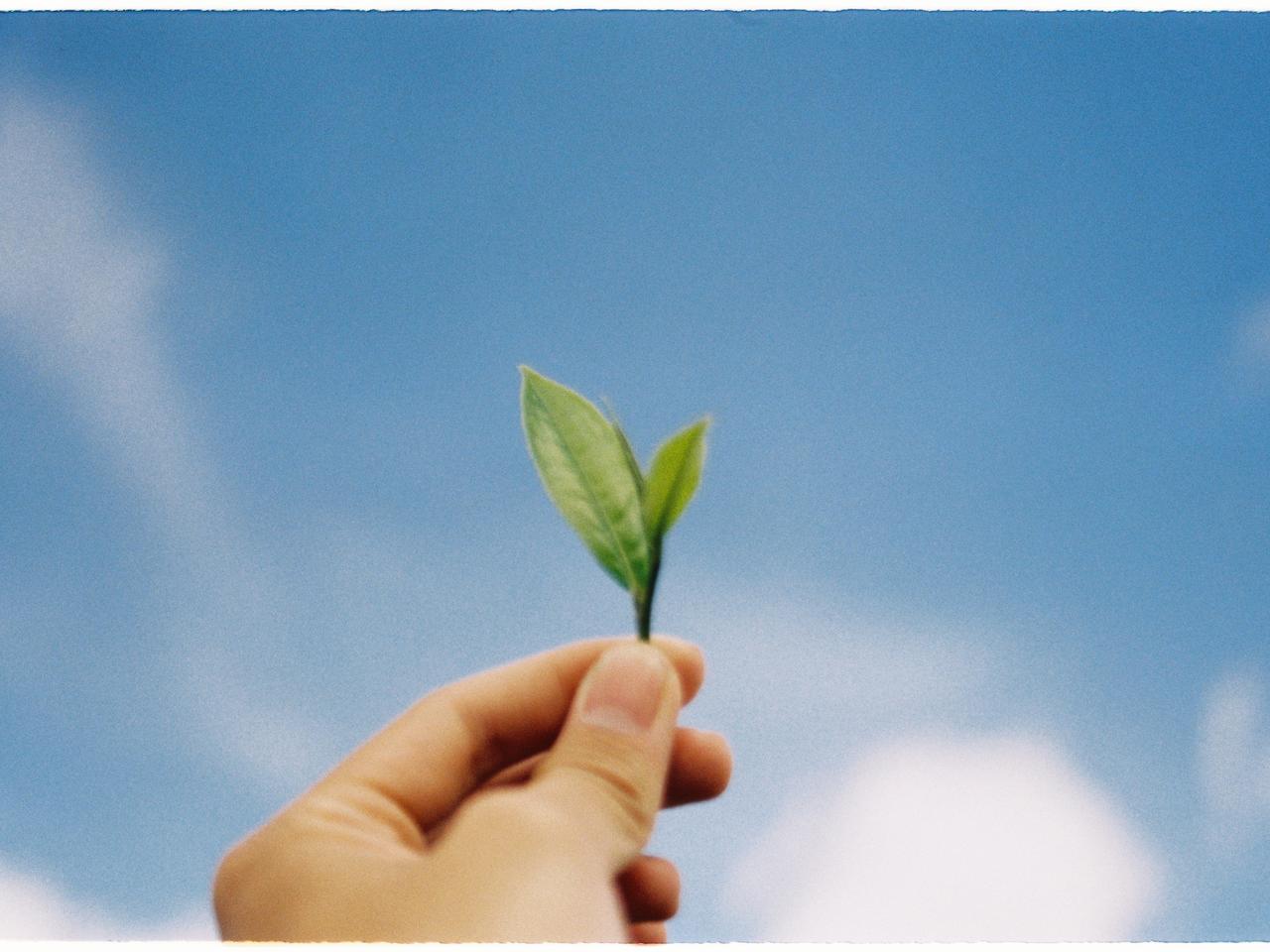 Błękitno – zielone inicjatywy powstaną w powiecie chodzieskim