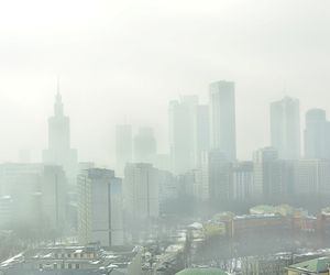 Tu Europejczycy mają dość brudu i smogu