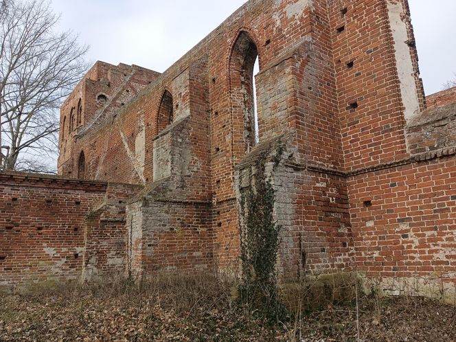 Ruiny kościoła w Steblewie