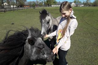 11-letnia Emilka sprzedaje ciasteczka i swoje zabwki, by wykupywać konie z rzeźni