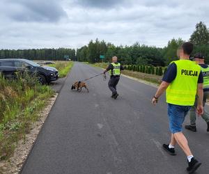 Tajemnicze zaginięcie 30-letniej Jowity. Kobieta wracała z pracy i zniknęła na leśnej drodze