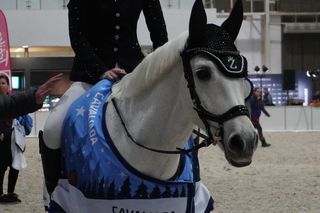 Cavaliada Tour: Łódź dołącza do grona gospodarzy! Kiedy zawody w Atlas Arenie?