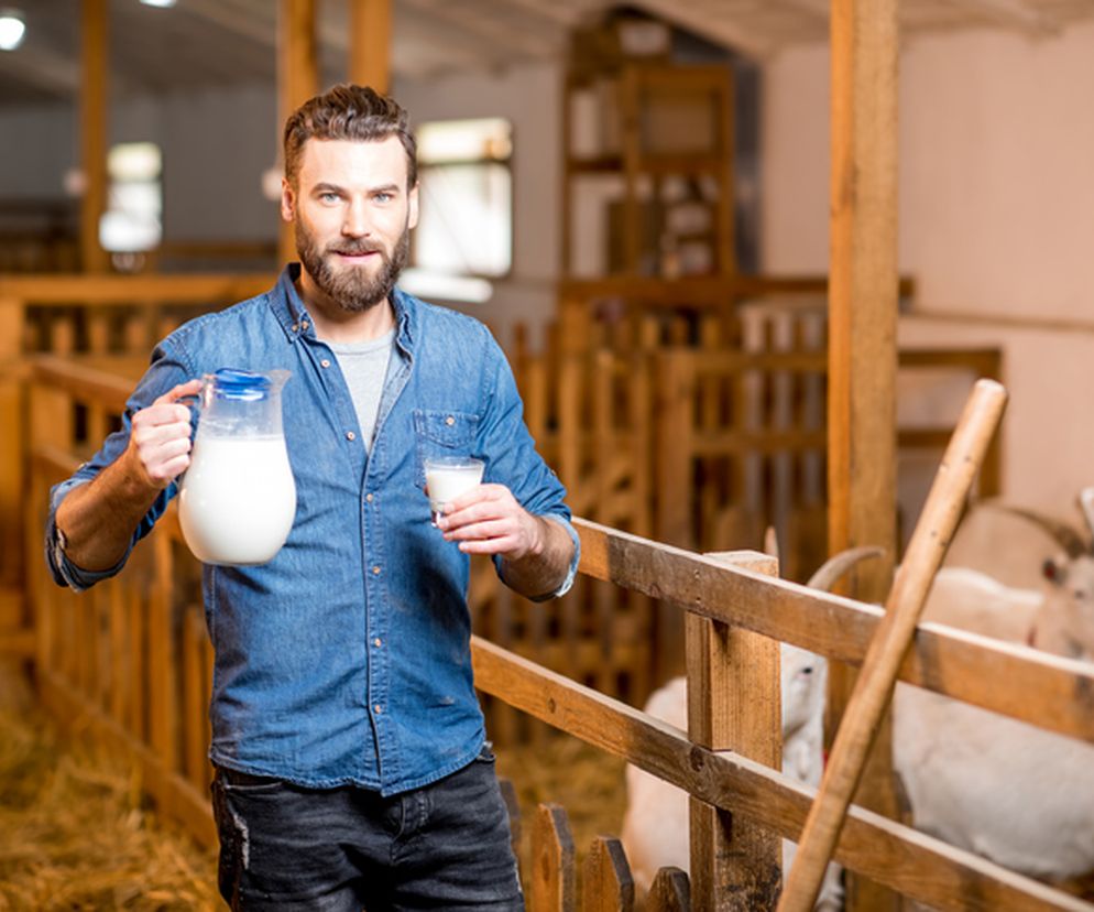 Mleko kozie - właściwości i wartości odżywcze