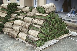 Zakładanie trawnika z rolki