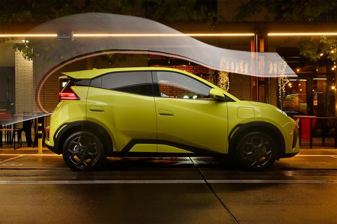 BYD DOLPHIN SURF