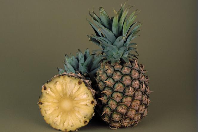 Ananas, owoc