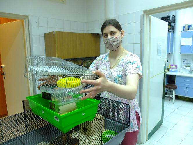 W Lublinie działa..."okno życia" dla małych zwierząt. Są szczurki, myszki, na nawet króliki i świnki morskie. Można je adoptować.